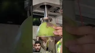 automatic coconut cutting machine| #cocnut #fruit #food #farming #satisfying