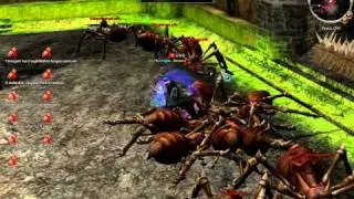 Nagyteremből hogy zavar ki a GM / SGM. Metin2 HU Draco
