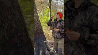 Seifenblasen am Malbaum🫧🐗🌿 Buchenholzteer jagd #jagd #jagen #sau
