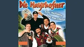 Die Musikanten aus dem Zillertal