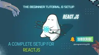 Mastering React Setup & Project Structure | Complete Guide