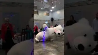 Polar bear at the holiday. #bear#shorts