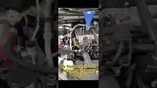 Mycorolla 2024 se hybrid in toyota dealership for service #corollahybrid #corollahatch #car #toyota