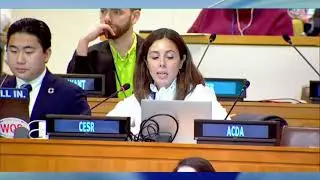 CESR's intervention at UN Tax Convention negotiations