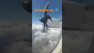 On Way To My Vacation #wildcatch #explore