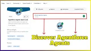 Discover Agentforce Agents | Agentforce Agents: Quick Look | Quiz Solution