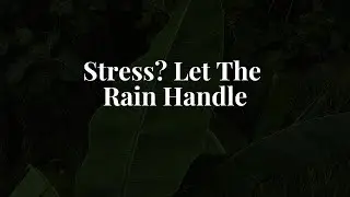 Fall Asleep in 3 Minutes | Rain Sounds