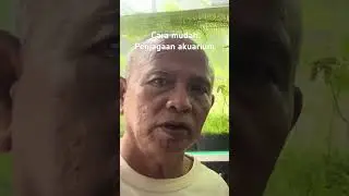 Cara mudah penjagaan akuarium #shortsfeed #muslibahari #akuarium #aquascape #viral