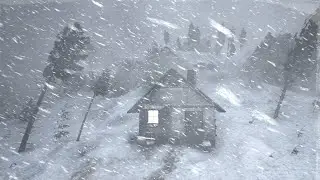 Howling Wind & Blowing Snow | Sounds for Sleep, Study & Relaxation | Relaxing Winter Ambience