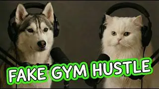 The Tragic Truth About Your Gym Membership | Cat & Dog Comedy Podcast