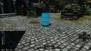 Skyrim Special Edition Object Manipulation Overhaul