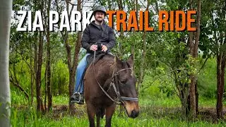 Zia Park Trail Ride around farmland in the Perth Hills