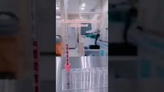СОЭ скорость оседания эритроцитов