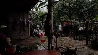 A Day in My Homeland: Exploring Culture and Nature