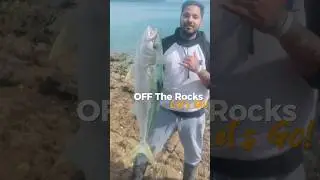 Done it again off the rocks, kingfish Nz #fishing Soldiers