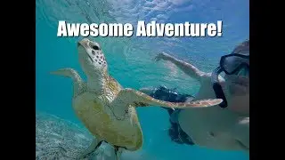 Tokashiki Island Day Trip!