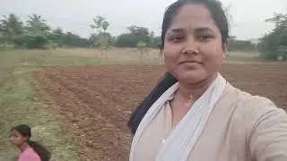 Agriculture farming 🧺#villagelife#villagelifestyle #agriculture#farming#native#realsound#nature#love
