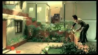 Dish Tv - sleeping beauty