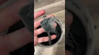 Dying my yarn tail (without actual dye) #furry #yarn #dye #fyp