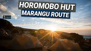 Horombo Hut - Marangu Route