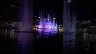 Sydney Vivid Lights