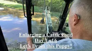 Enlarge a Cattle Pond 1of6 - How I Made Money Doing What I Love - Bobcat e42 Mini Excavator!