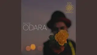 Odara