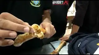 Radius-Ulna of OX, VAH 1106 BAU AH