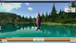 Catch Huge Vimba Breams at Pier in Fishing Club 3D