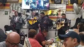 MADRIGAL ( Felipe Rosario goyco ) DANNY FRANK Y TRIO DEL ANGEL 💯🐱🎶❤️👍