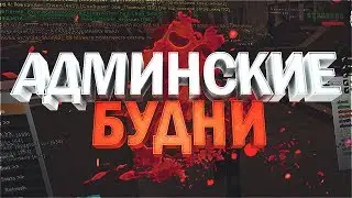 АДМИНСКИЕ БУДНИ НА EVOLVE RP + ИТОГИ РОЗЫГРЫША