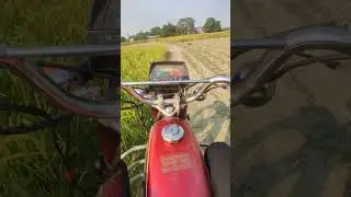 1 million view 😬💯 cd 80 🔥#cd8t #bike #shortvideo
