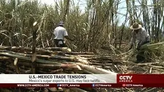 U.S.-Mexico Trade Tensions Over Possible Tariffs on Sugar Exports