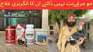 How to improve Sperm Quality & Aseel Fertility Tips