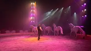 MIGUEL LAUENGURGER au cirque de Stefan Agnessen 2019/2020