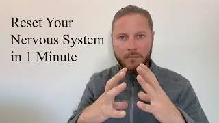1 Minute Nervous System Reset | Frequency Sound Bath