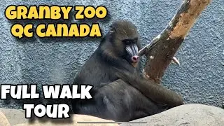 (4k) 🇨🇦 Granby Zoo | Walkthrough Tour All Animals Canada, Quebec