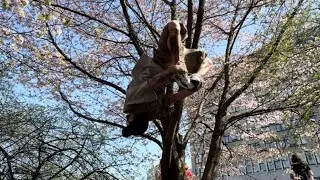 Утро с animals people 11