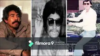 &iquest;C&oacute;mo el crimen organizado permea la cultura?