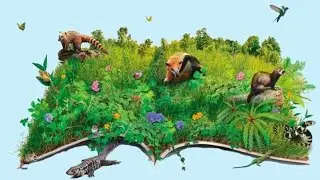 A emerg&ecirc;ncia da etnografia multiesp&eacute;cies | S. Eben Kirksey & Stefan Helmreich