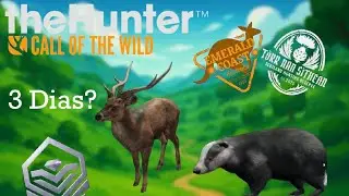 Schaffe ich 3 Dias in 3 Tagen zu schiessen? | theHunter: Call of the Wild 