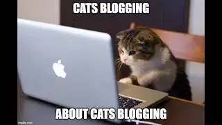Blogging with kvCORE (w/Kelly B) - 11/09/21
