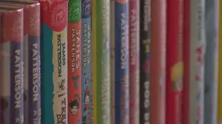 Study finds most books banned by American school districts are children's book by authors of color