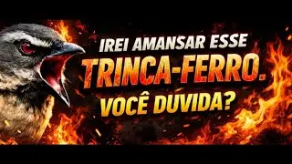 Preparando um trinca ferro do zero NA PRÁTICA 