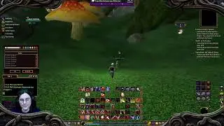 New Maps in Kelethin! Grobin Caves & Honey Gathering | EverQuest 2 Origins Anashti Sul