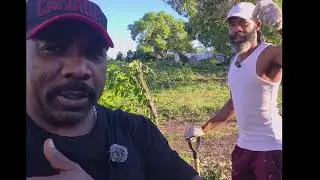 ER и Brown Man наконец-то закончили разравнивать плодородную почву вокруг дома. Выглядит неплохо.