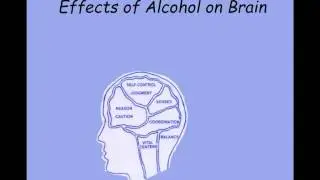 Blood Alcohol Concentration