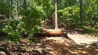 Blankets Creek- van Michael