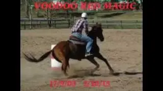 Voodoo Red Magic 17/9/03 - 2/10/15