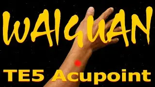 TE5 | Waiguan Acupoint | Triple Energizer Meridian | Acupressure VIKUDO